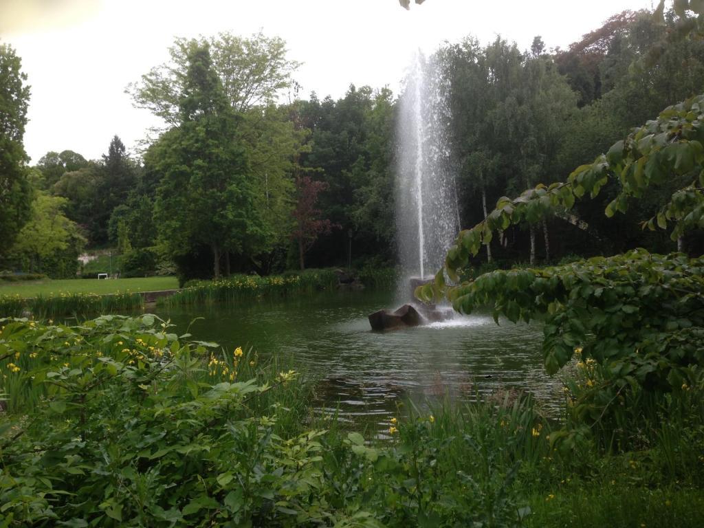 Seerose Baden-Baden